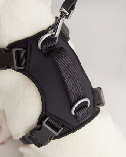 Neoprene Double Panel Dog Harness