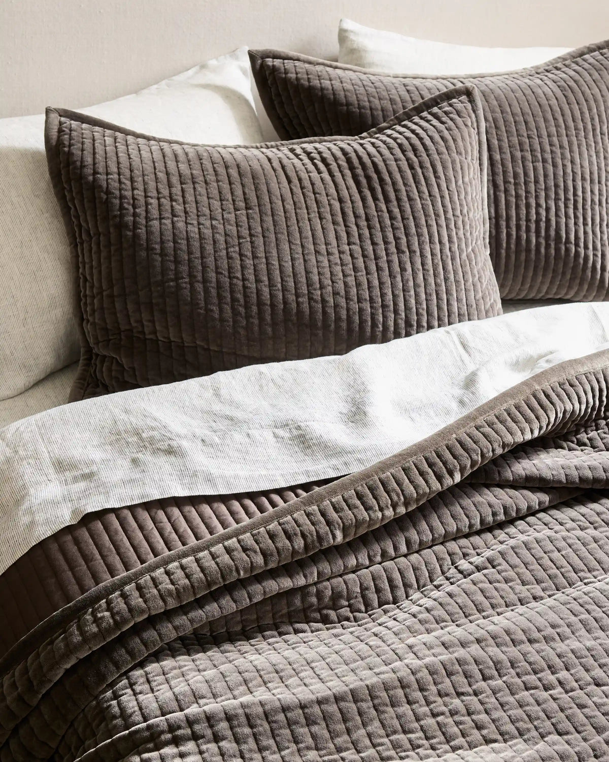 Cotton Velvet Narrow Channel Quilted Sham Set