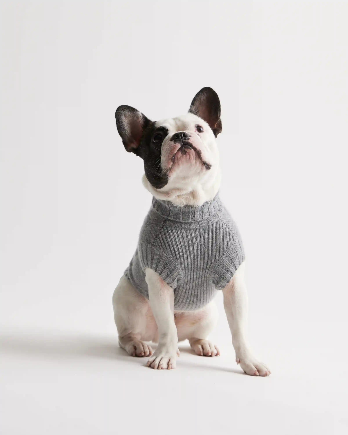Mongolian Cashmere Cable Knit Dog Sweater