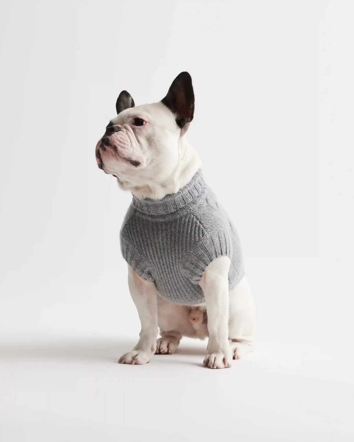 Mongolian Cashmere Cable Knit Dog Sweater