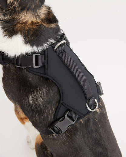 Neoprene Double Panel Dog Harness