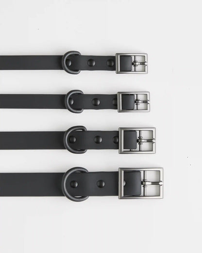Dog Collar Walk Kit