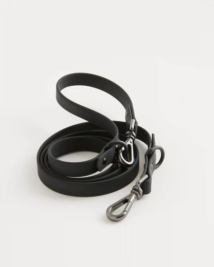 Dog Collar Walk Kit