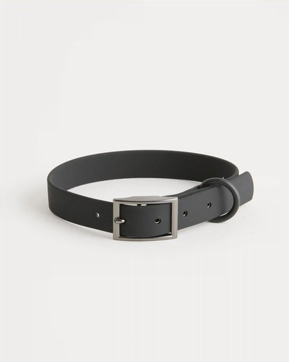 Dog Collar Walk Kit