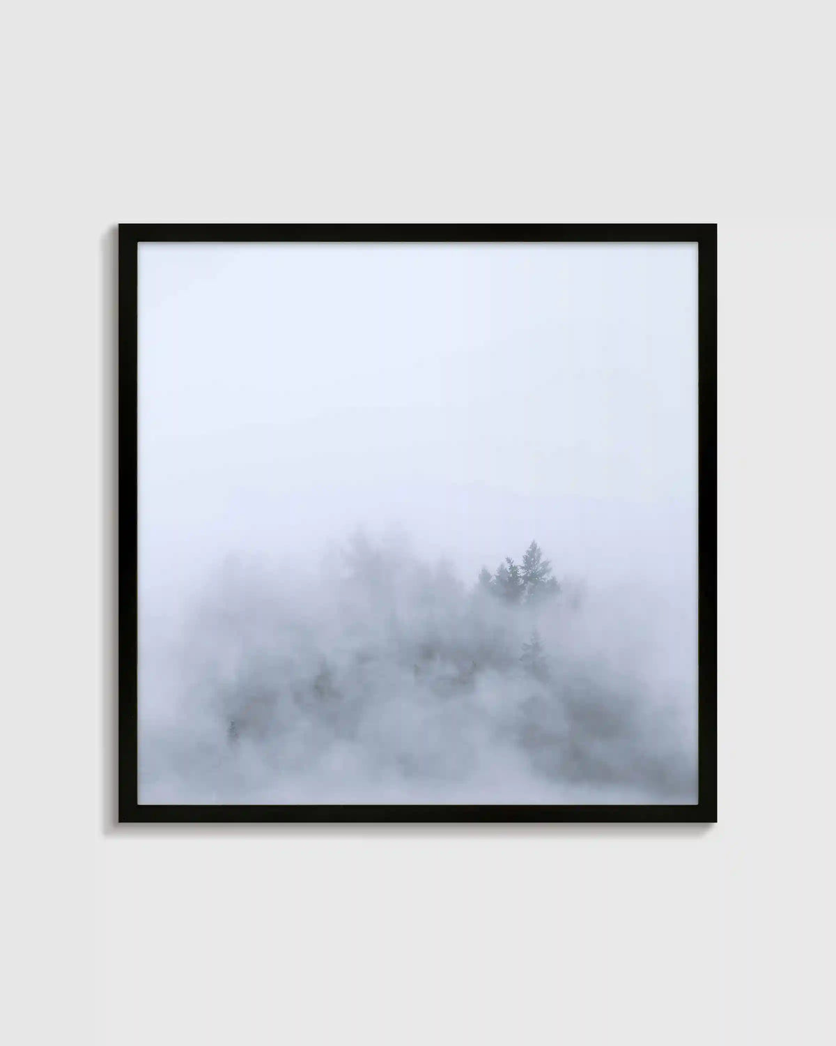 Above the Mist by Laura Zimmerman