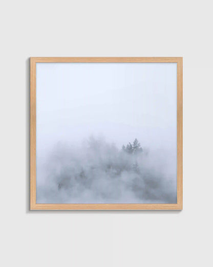 Above the Mist by Laura Zimmerman
