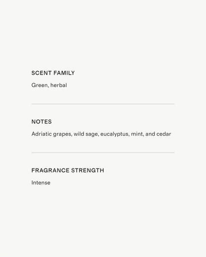 Adriatic Sage Candle