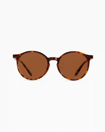 Brixton Polarized Acetate Sunglasses