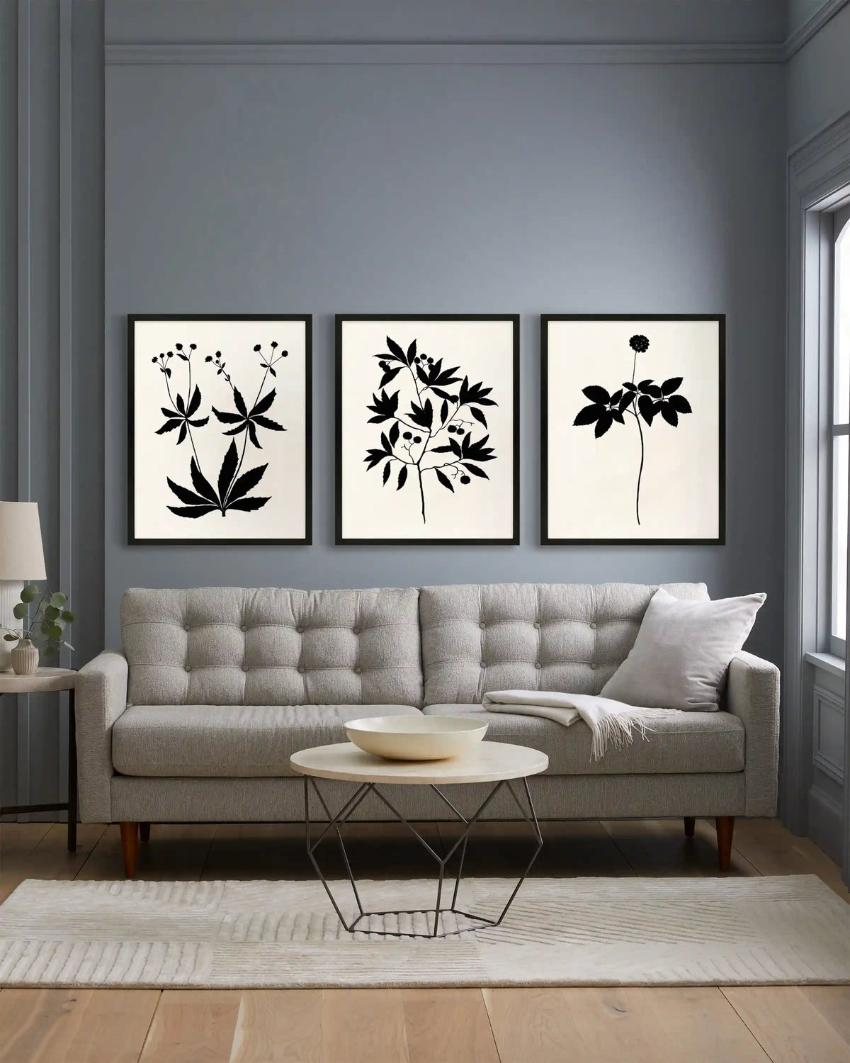 Botanical by Philippa Katz (Set of 3)