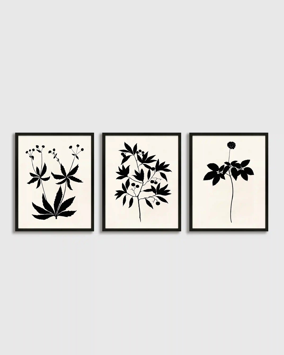 Botanical by Philippa Katz (Set of 3)