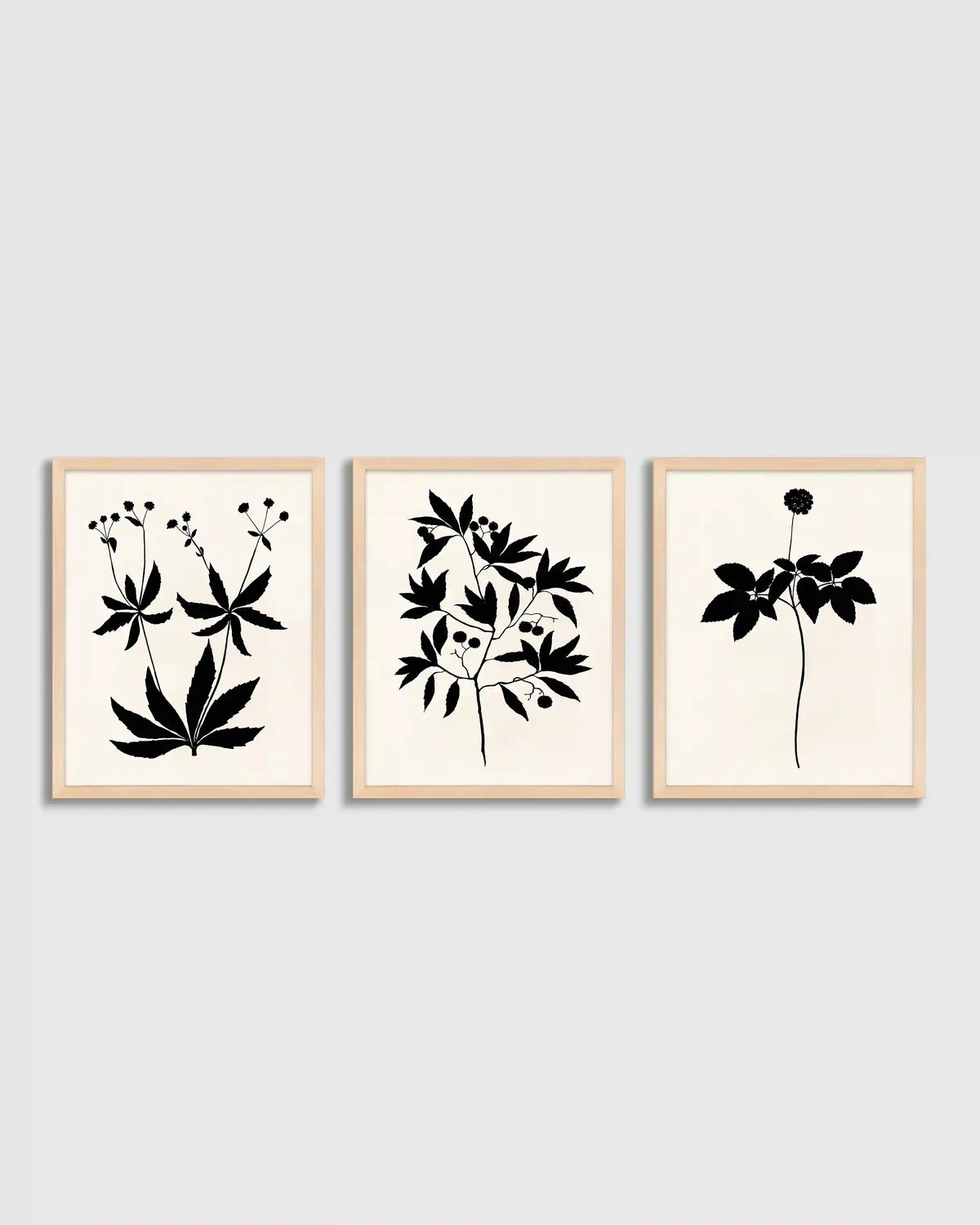 Botanical by Philippa Katz (Set of 3)