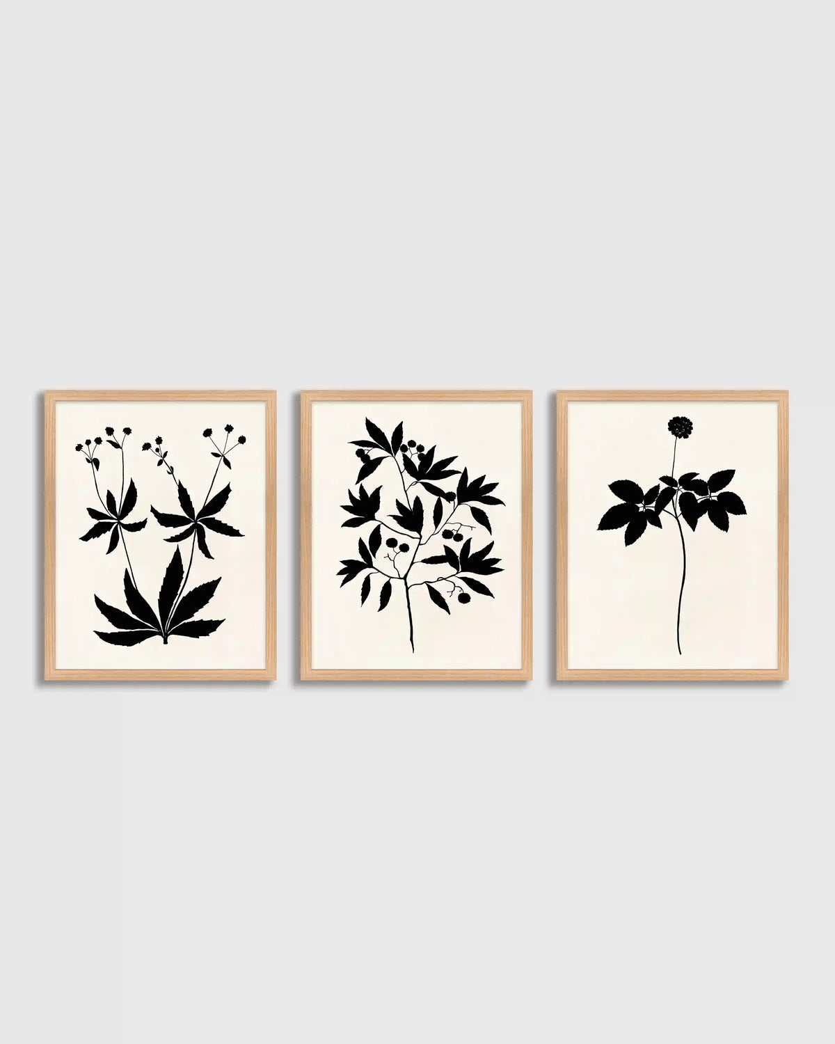 Botanical by Philippa Katz (Set of 3)