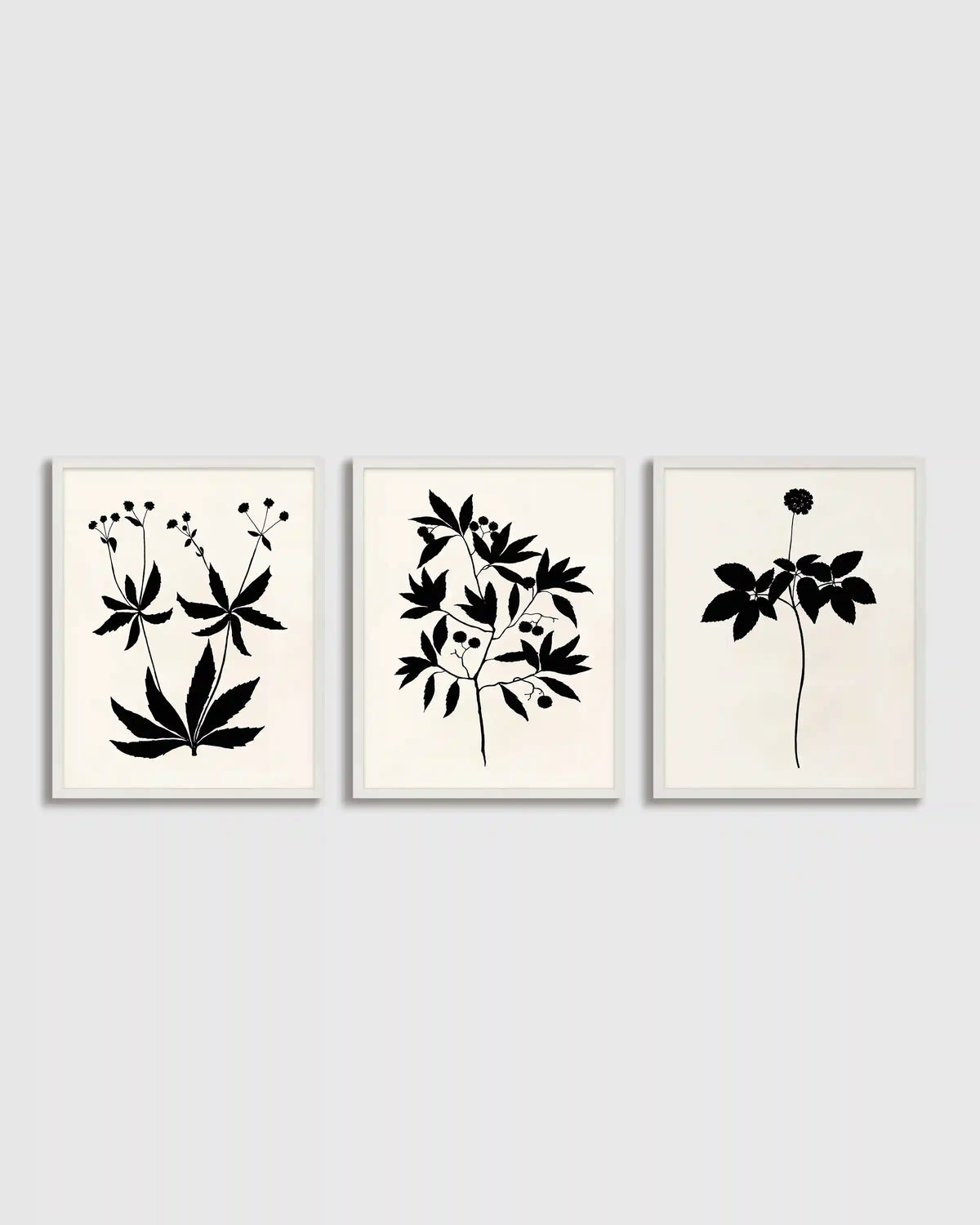 Botanical by Philippa Katz (Set of 3)