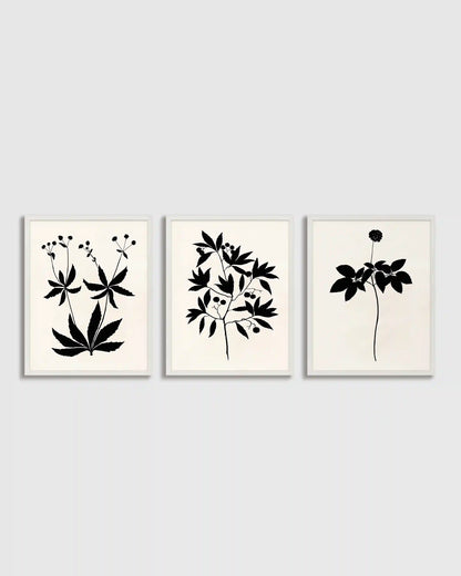 Botanical by Philippa Katz (Set of 3)