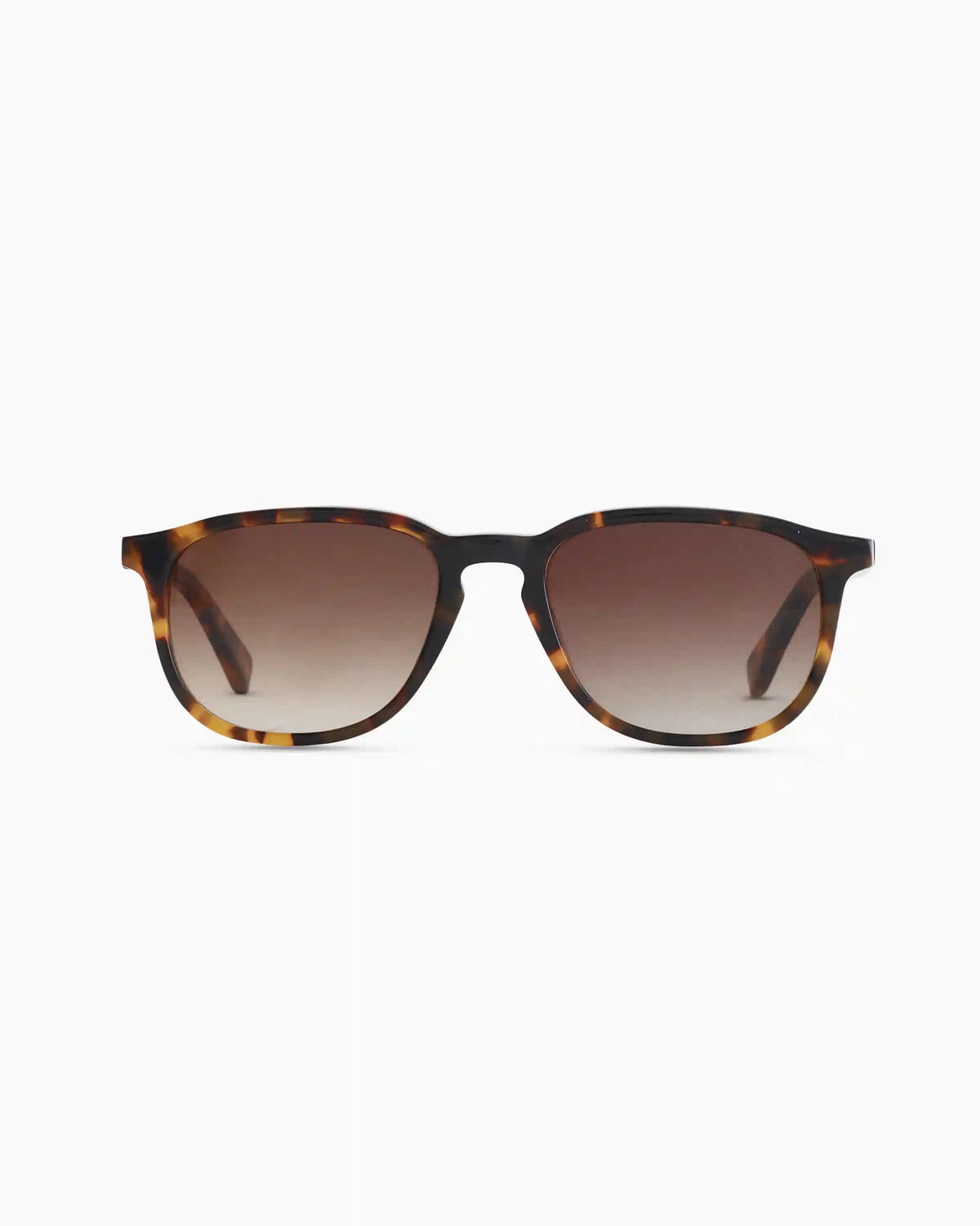 Cameron Polarized Acetate Sunglasses