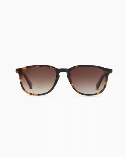 Cameron Polarized Acetate Sunglasses