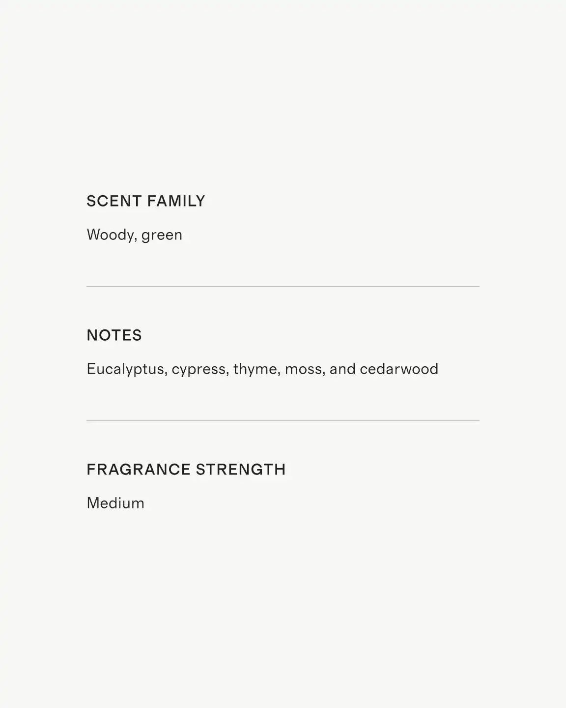 Fir & Vetiver Candle