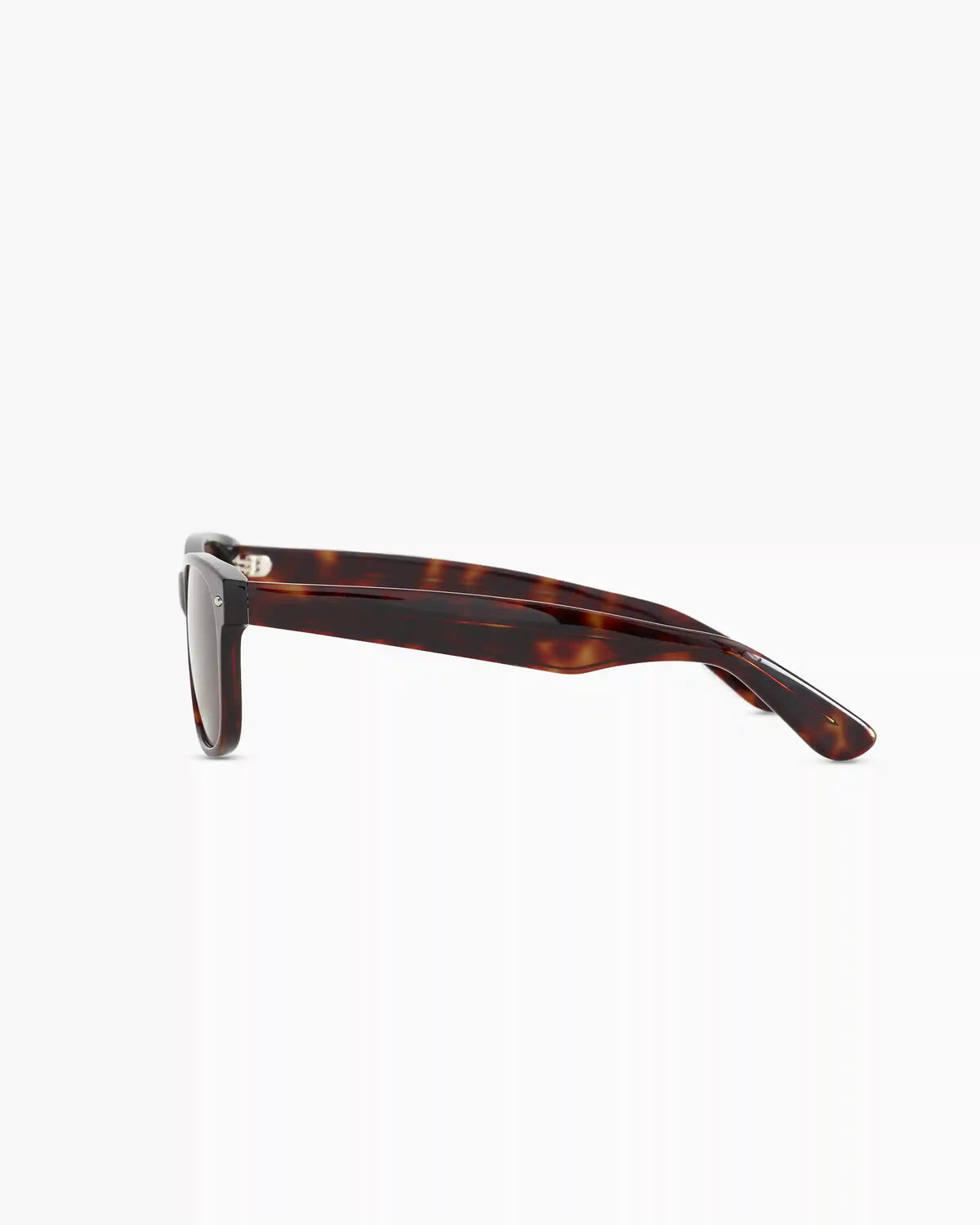Hayden Polarized Acetate Sunglasses