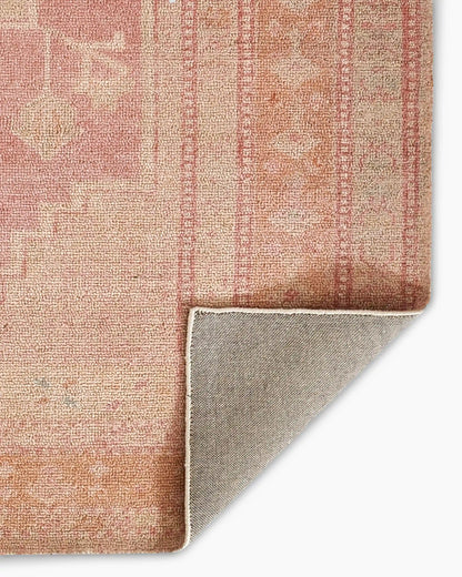 Arya Performance Rug