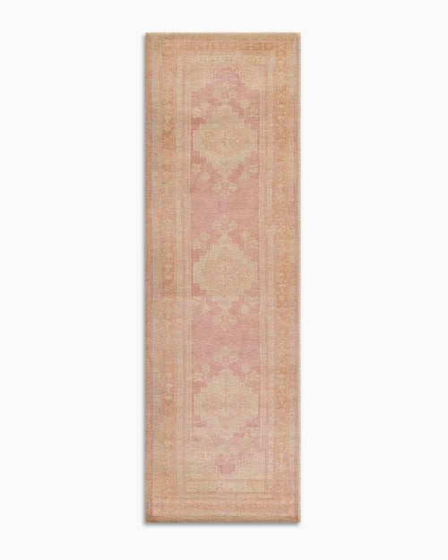 Arya Performance Rug