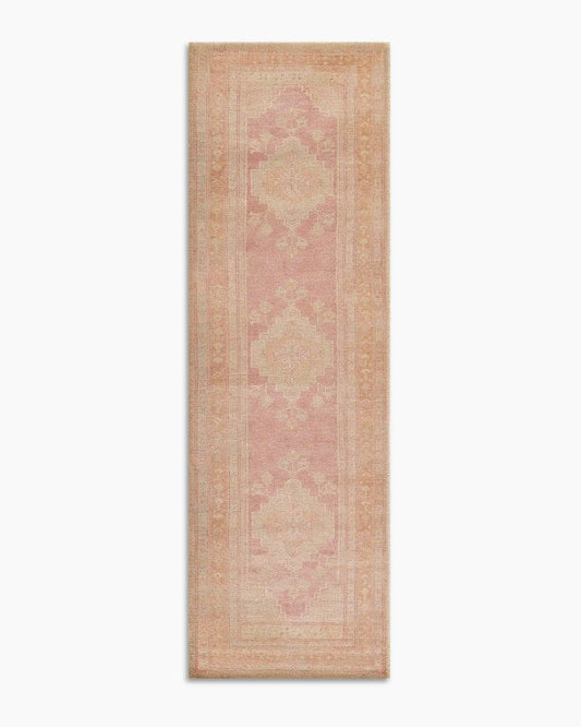 Arya Performance Rug