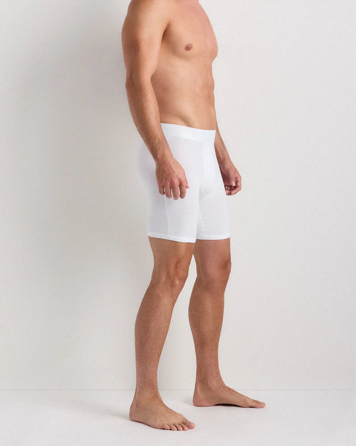 Micromodal 6" Boxer Brief (3-pack)