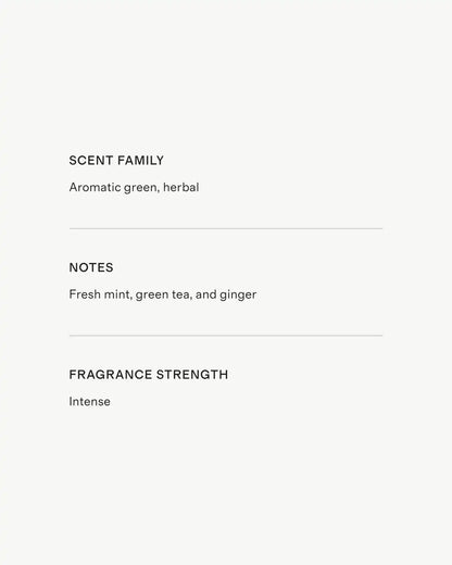 Marrakech Mint 3-Wick Luxury Candle