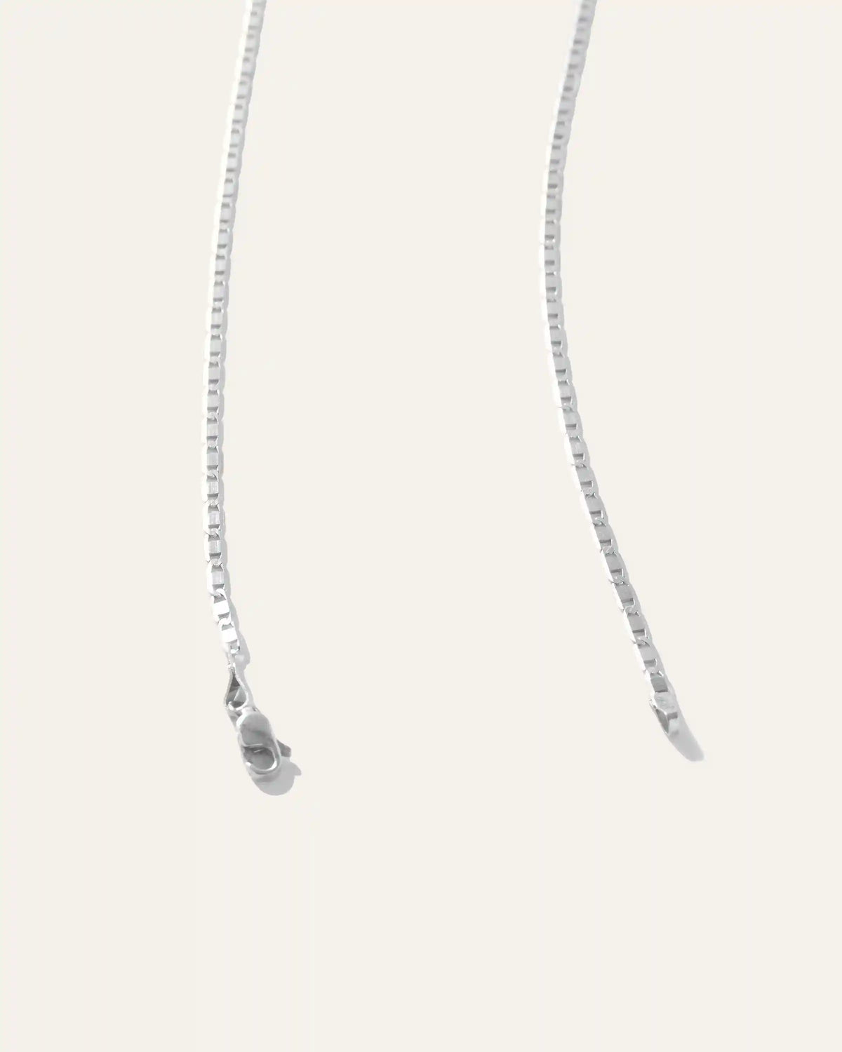 14K Gold Petite Valentino Chain Necklace
