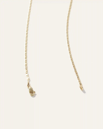14K Gold Petite Valentino Chain Necklace