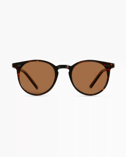Noah Polarized Acetate Sunglasses