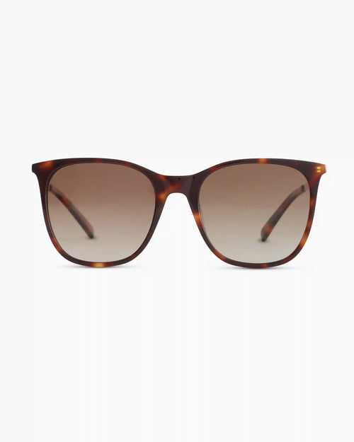 Poppy Polarized Acetate Sunglasses