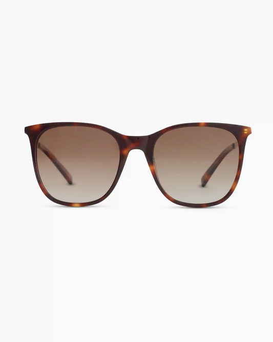 Poppy Polarized Acetate Sunglasses
