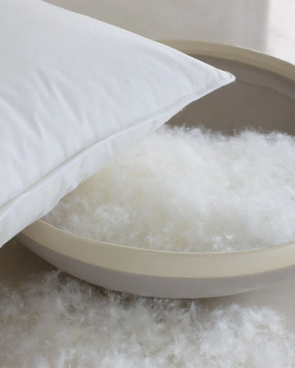 Premium Down Pillow