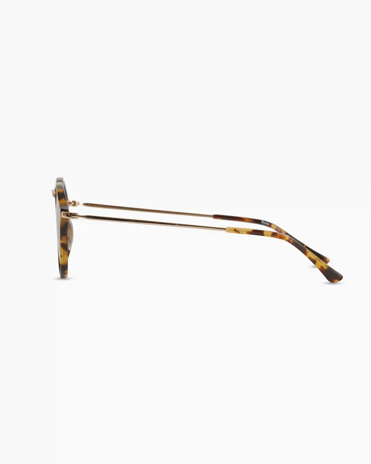 Ryder Polarized Acetate Sunglasses