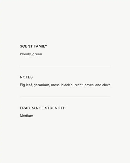 Saint Germain Candle