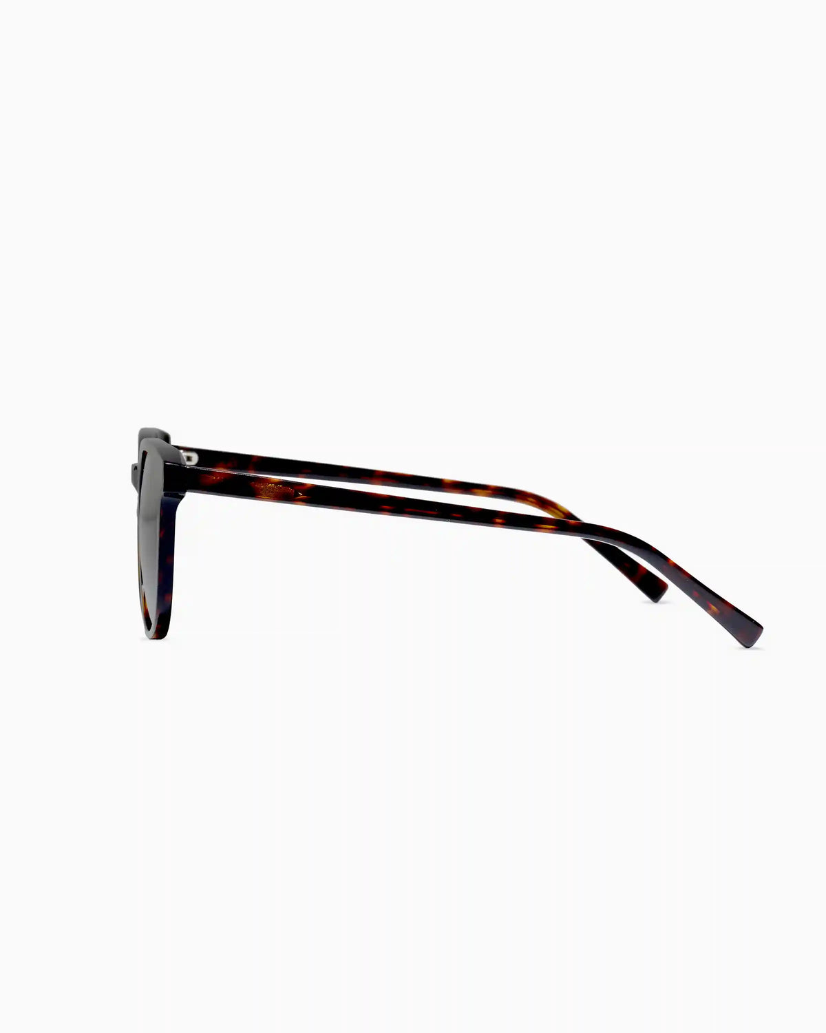 Charlie Polarized Acetate Sunglasses