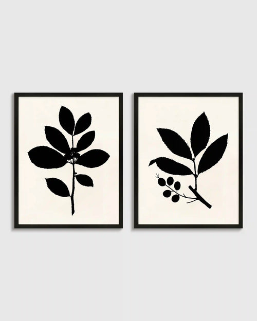 Tea Tree, Cherry Laurel by Philippa Katz (Set of 2)
