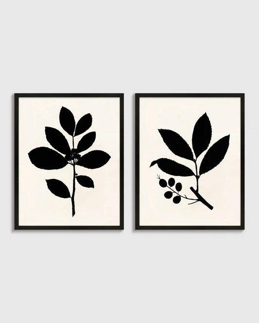 Tea Tree, Cherry Laurel by Philippa Katz (Set of 2)