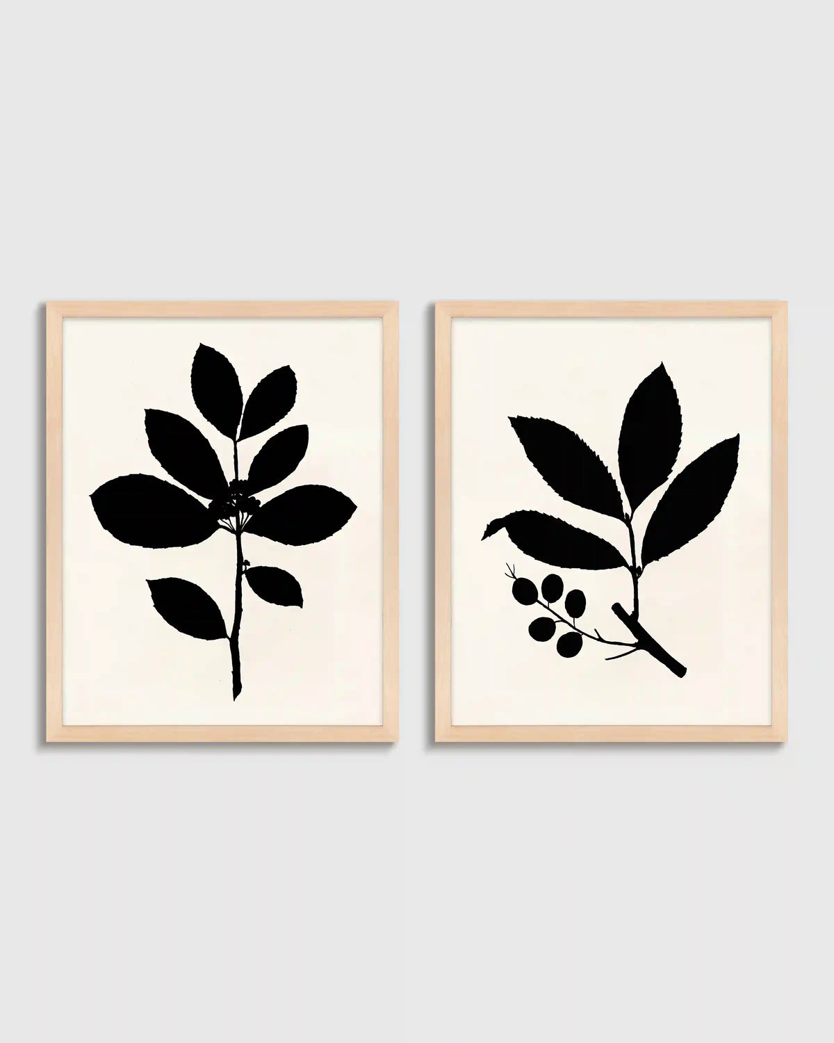 Tea Tree, Cherry Laurel by Philippa Katz (Set of 2)