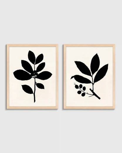 Tea Tree, Cherry Laurel by Philippa Katz (Set of 2)