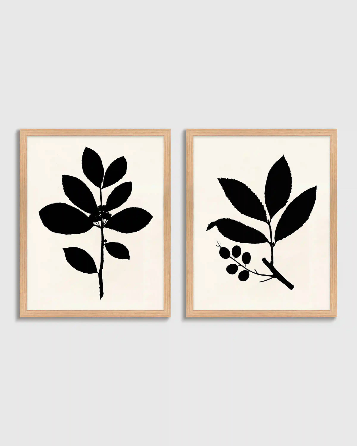 Tea Tree, Cherry Laurel by Philippa Katz (Set of 2)