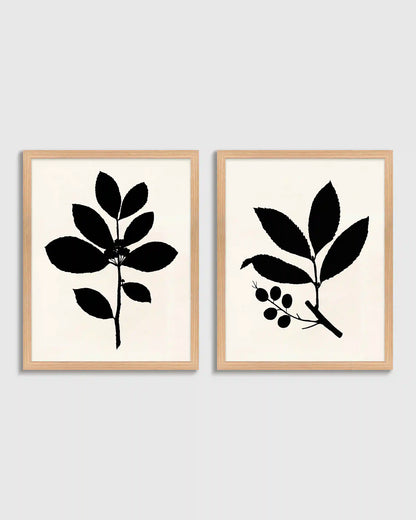 Tea Tree, Cherry Laurel by Philippa Katz (Set of 2)