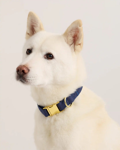 100% Cotton-Wrapped Nylon Dog Collar