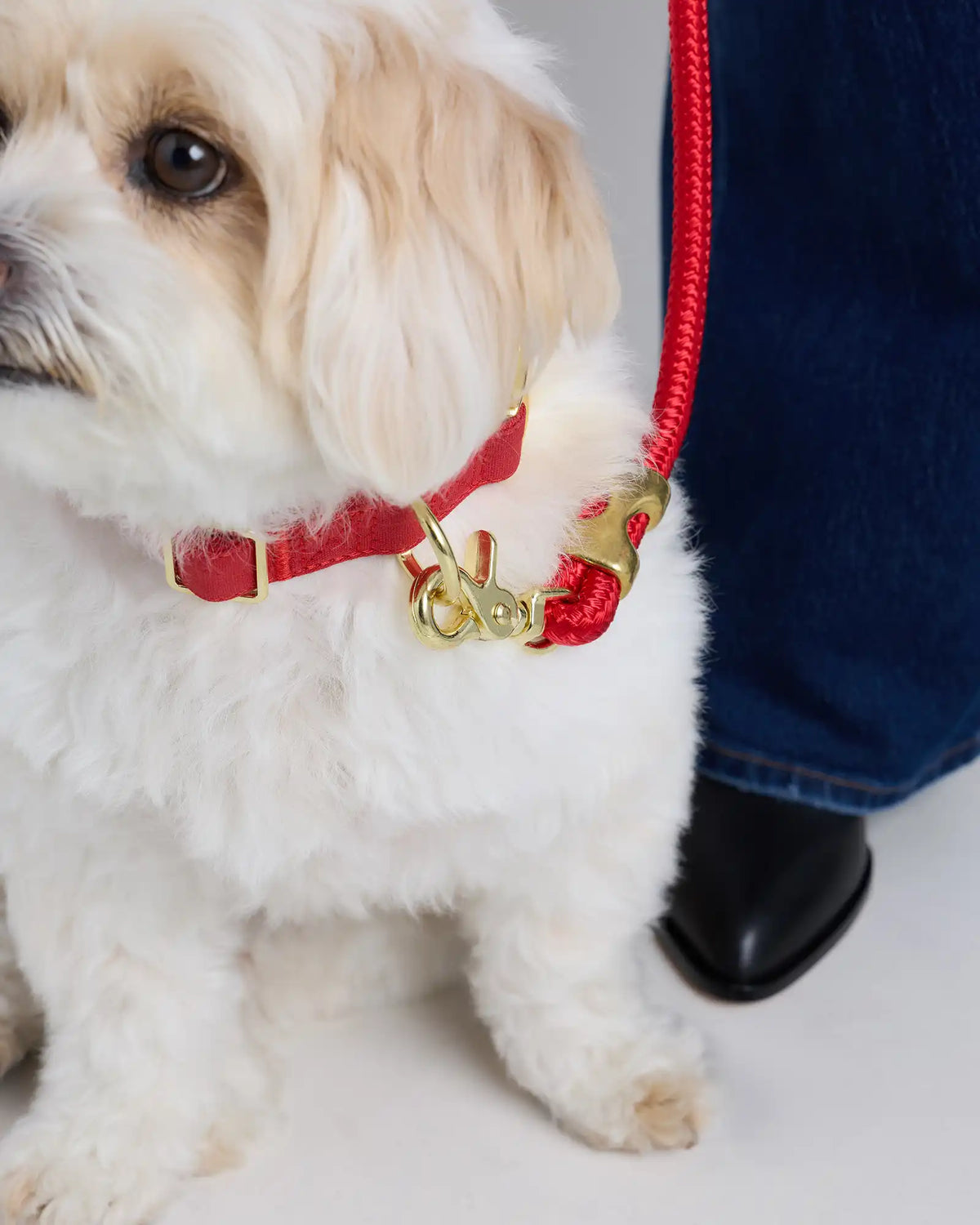 100% Cotton-Wrapped Nylon Dog Collar
