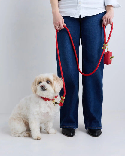 100% Cotton-Wrapped Nylon Dog Collar