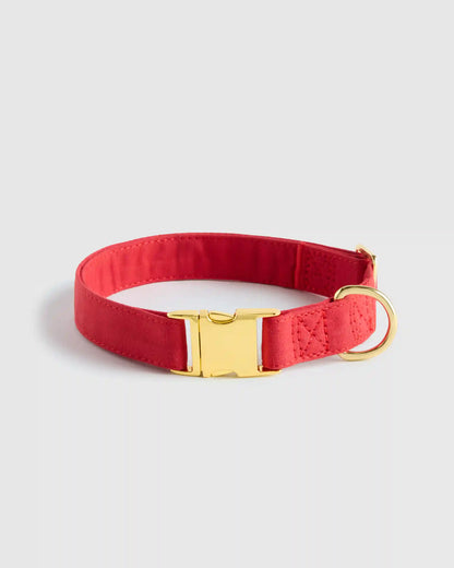 100% Cotton-Wrapped Nylon Dog Collar