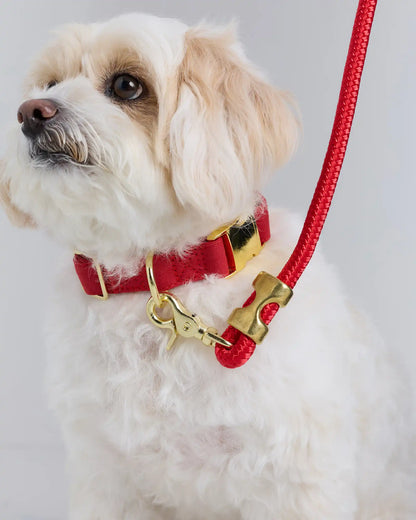 Double-Braided Nylon Rope Dog Leash
