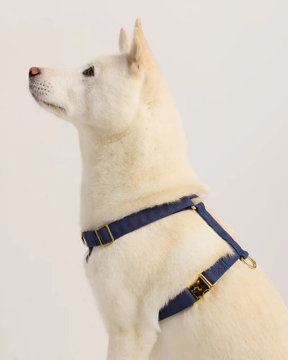 100% Cotton-Wrapped Nylon Dog Harness