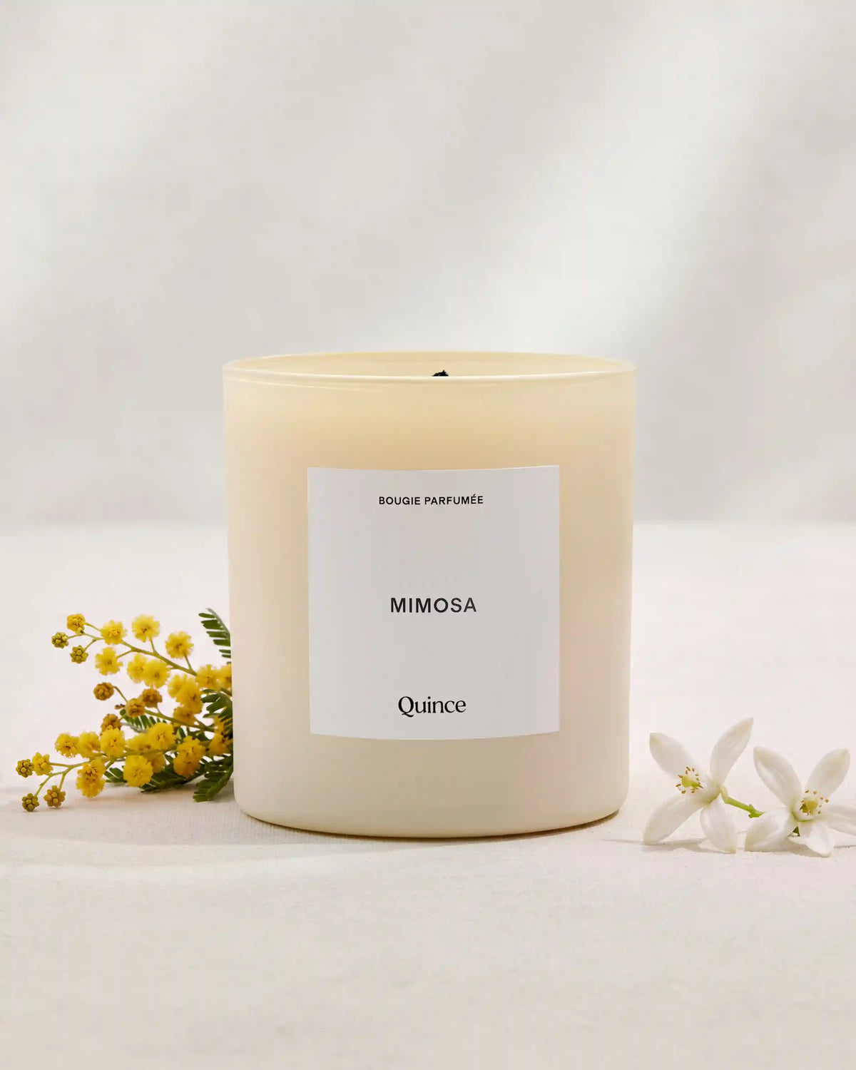 Mimosa Candle