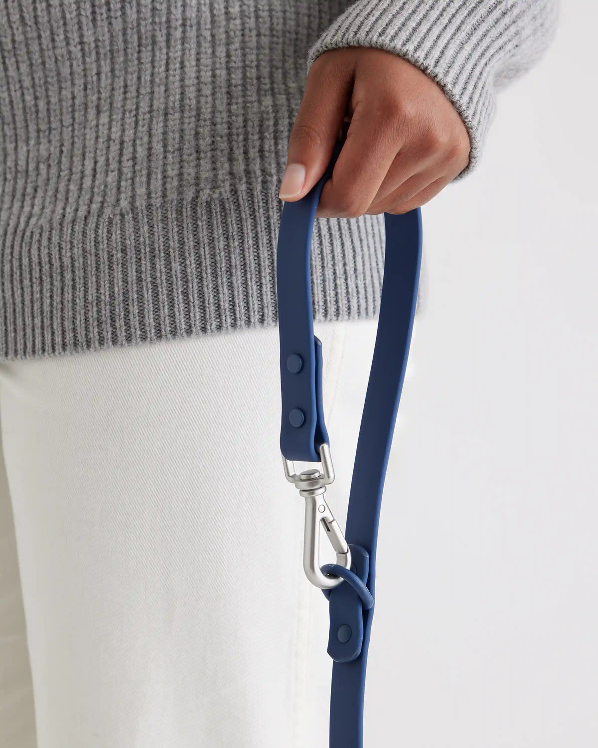 Dog Collar Walk Kit